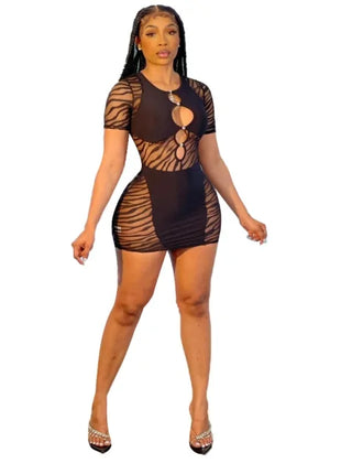 Sexy Zebra Mesh Mini Dress